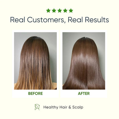 Moringa Skincare Kit